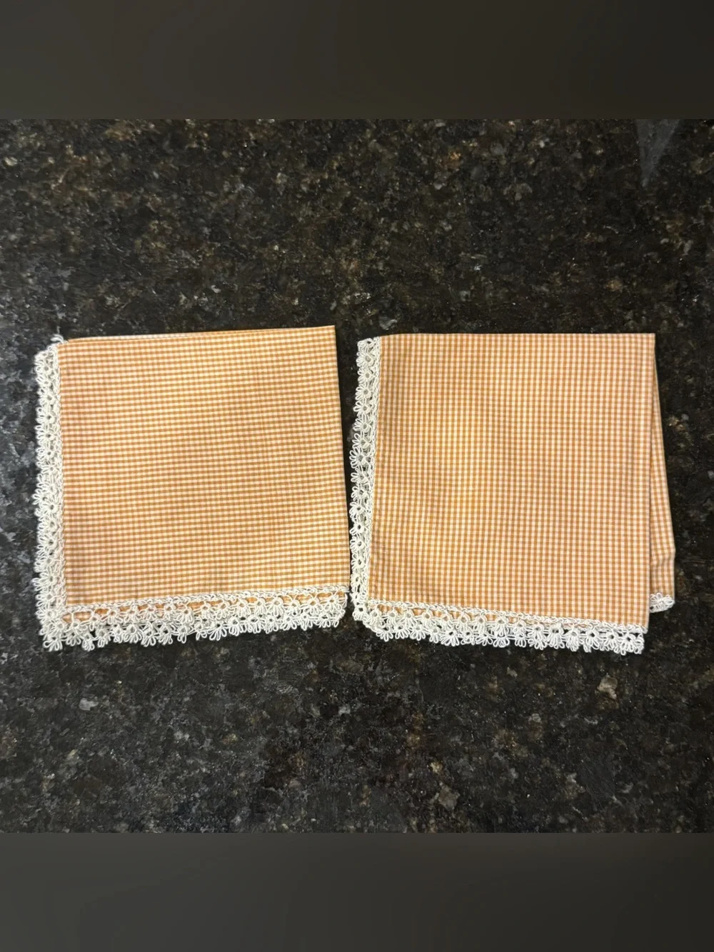 Vintage Set of 2 Orange Gingham Lunch Napkins | Hand Embroidered Blue Daisies